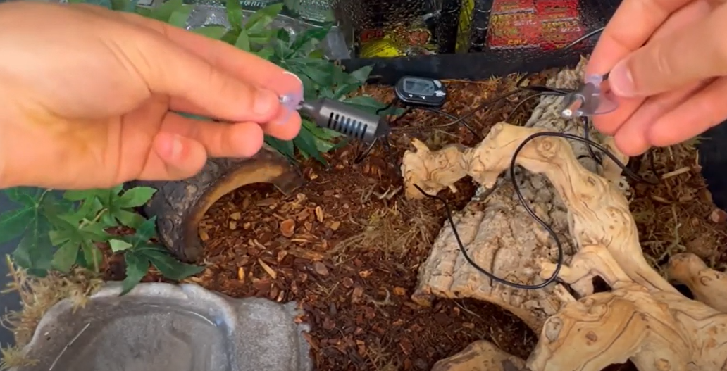 Where to Put a Thermometer in a Reptile Tank? ReptileProfy